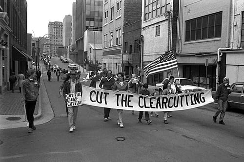 Historical photo of Western North Carolina Alliance (now MountainTrue) members protesting the practice of clearcutting in Nantahala-Pisgah National Forest. 